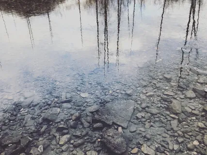 Slowing To Stillness