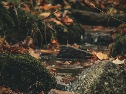 Slowing Your Life Down Guilt Free