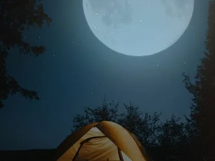 Slumber Serenity: Unwind Your Mind For A Blissful Tomorrow