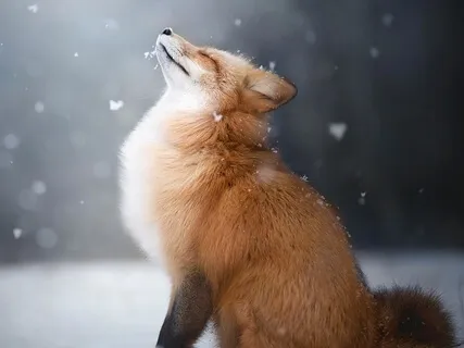 Smakowanie Przyjemności