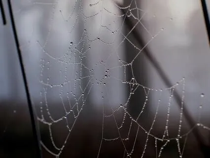 Small Journeys Into The Vastness Of Self | Whispers