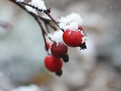 Small Lessons From Slow Living - Jan 10