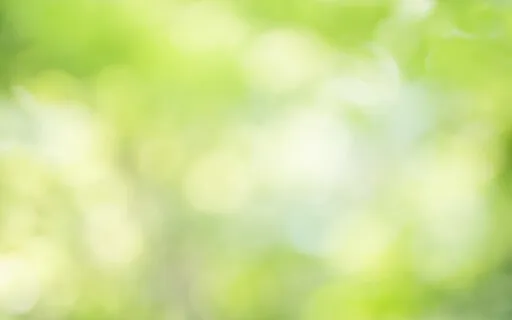 Small River In The Forest