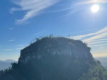 Small Steps Toward A More Consistent Life