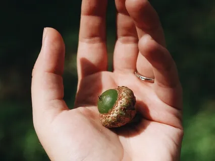 Small Triumphs: A Meditation On The Breath