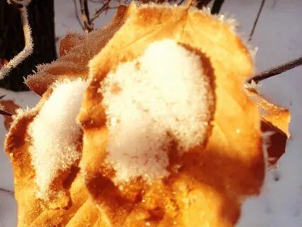 Smertemestring med mindfulness fokus