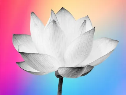 Smile & Release Meditation