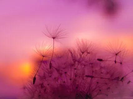 Morning Meditation: Smile From The Heart