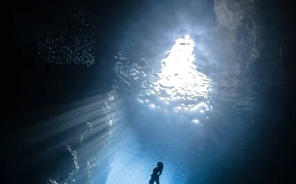 Smile Into The Light