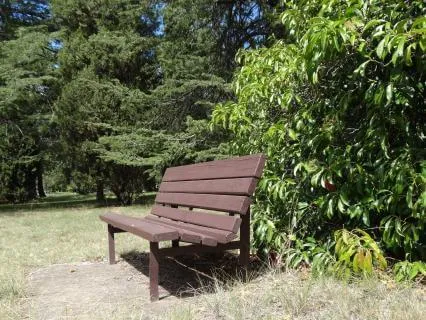 Smiling Breath Awareness