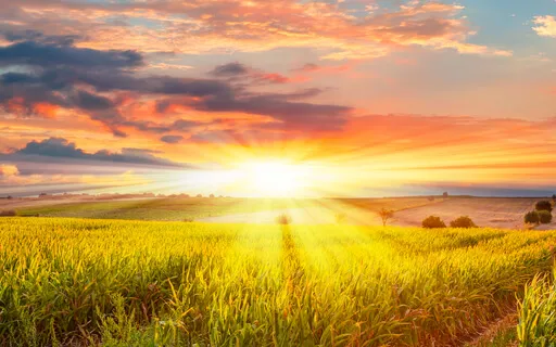 Smiling Heart Meditation