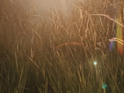 Smiling Meditation: Shine, Rise And Be Happy!