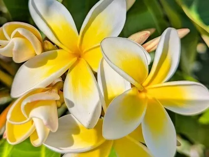 Smoking Management: Identifying As A Non-Smoker