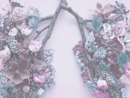 Smoothe. Regulate. Breathe. Relieve Anxiety Softly