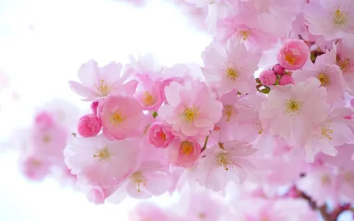 Smoothed Pink Noise - Your Ambient Sound Blocker