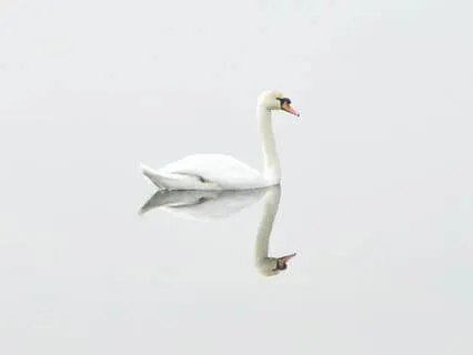 Smoothed White Noise For Relaxation & Improved Focus