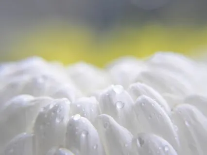 Smoothed White Noise & Relaxing Rain