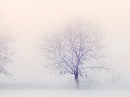 Smoothed White Noise | Relaxing Sounds For Stress Relief, Relaxation & Sleeping