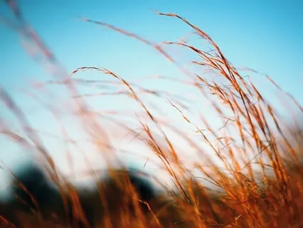 Smoothed White Noise