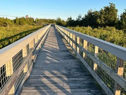 Smudge Ceremony To Cleanse Your Space Of Negative Energy