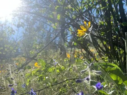 Snacking On Sunshine