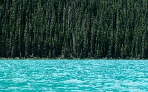 Снятие Напряжения и Тревоги