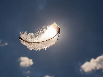 Снятие Напряжения в Теле. Дыхательная Практика