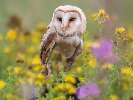 Snippets Of Wisdom #14: Satisfaction Is Key