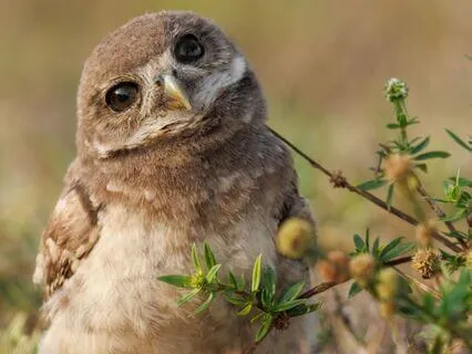 Snippets Of Wisdom #15: Stop Bullying Yourself - Speak Love