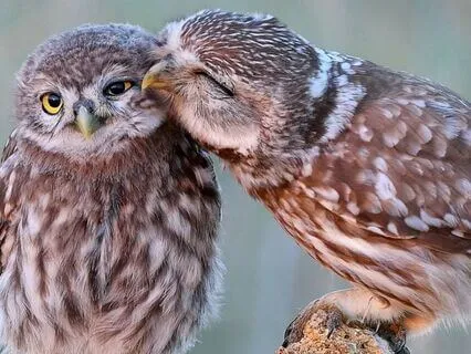 Snippets Of Wisdom #16: Thoughts Create How You Feel