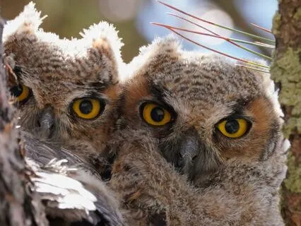 Snippets Of Wisdom #18: Satisfaction...Ahhh