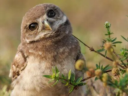 Snippets Of Wisdom #21: Lacking Confidence Is Confidence