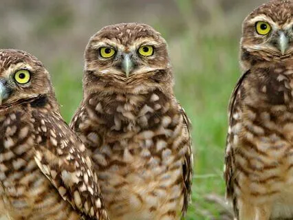 Snippets Of Wisdom #22: Worthiness = Abundant Well-Being