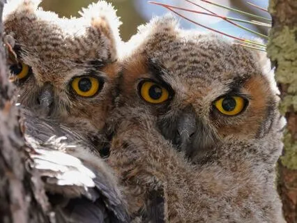 Snippets Of Wisdom #23: Feel Your Way