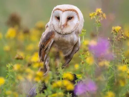 Snippets Of Wisdom #24: The Feeling Of Abundance