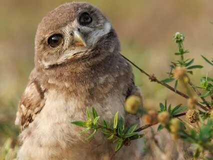 Snippets Of Wisdom #27: Like Yourself More