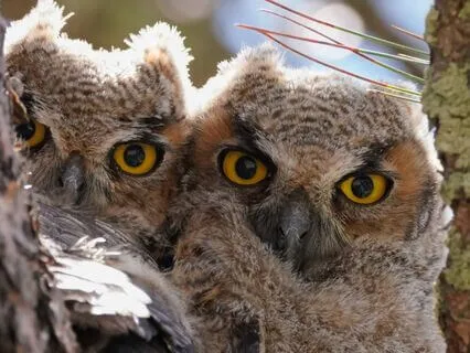 Snippets Of Wisdom #28: Motivation Vs Inspiration