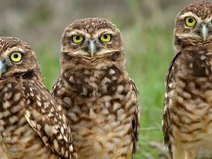 Snippets Of Wisdom #29: You Are Never Really Stuck