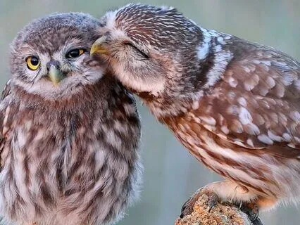 Snippets Of Wisdom #30: Prescription For Healing