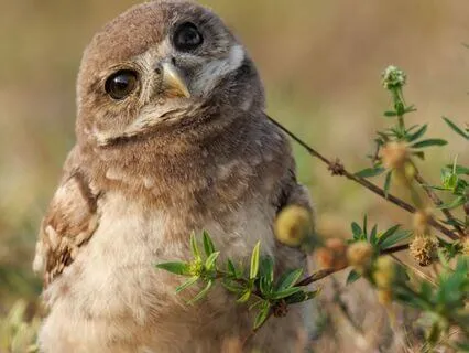 Snippets Of Wisdom #31: Creation Begins With Desire