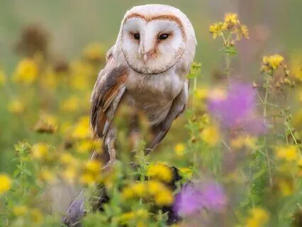 Snippets Of Wisdom #33: Fueling The Universe