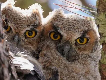 Snippets Of Wisdom #34: How To Empower The Universe