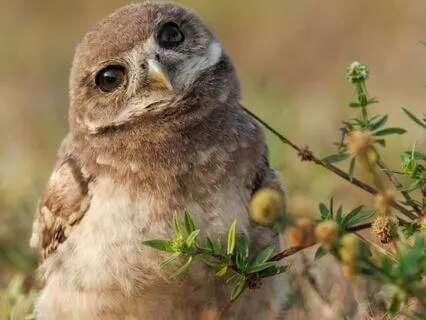 Snippets Of Wisdom #35: Shortcut: CTRL + ALT + JOY