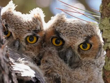 Snippets Of Wisdom #38: Uplevel Your Vocabulary