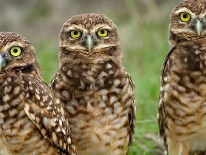 Snippets Of Wisdom #39: Evaporate Your Problems