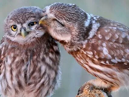 Snippets Of Wisdom #41: Your Life Example Teaches Others