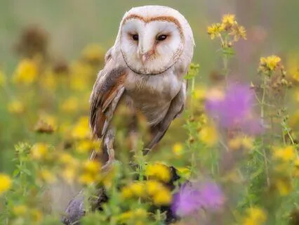 Snippets Of Wisdom #42: Do You Have A Muddied Vision?