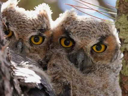 Snippets Of Wisdom #43: Bless Others You Don't Know