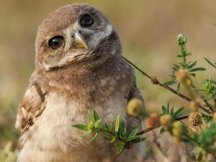 Snippets Of Wisdom #45: When In Doubt, Recount What You Know