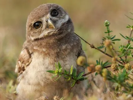 Snippets Of Wisdom #1: Abundance Is Expressed Through Smiles